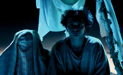 Белый белый черный аист