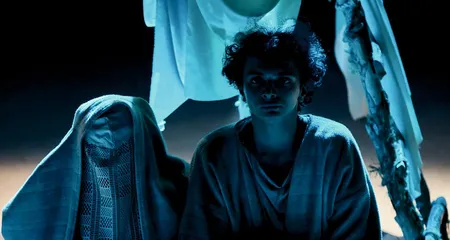 Белый белый черный аист