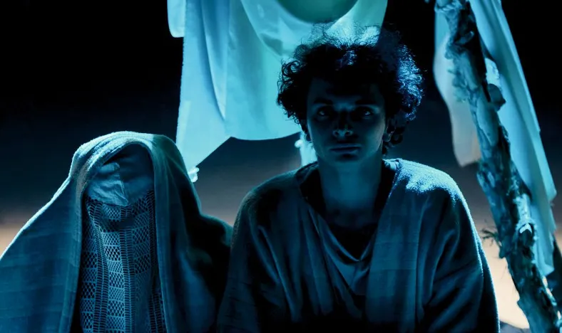 Белый белый черный аист